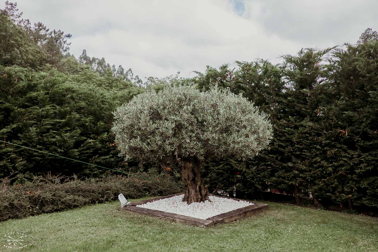 fotografo de bodas en bilbao-12.1